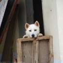 웅석봉로 이미지