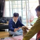 서포항농협 상옥지점 주유소 | 포항 애견동반숙소 운휴재 / 독채펜션/300평 정원