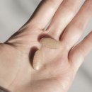 11215-자양2-957 | 남편선물로 운동전부스터 준비! 김종국 아르기닌블랙마카