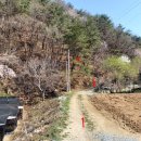 북내초등학교도전분교장 이미지