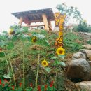 동향민박&펜션 이미지