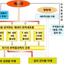 면력증강제인, 메시마는 이미지