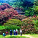 담양 명옥헌 및 창평 슬로시티 - 고택과 돌담 사이로 시간도 쉬어가는 곳 이미지