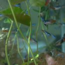 한서아쿠아 이미지