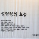 엄선서울깍두기