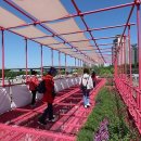 뚝섬한강공원-21 이미지