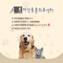 배방동물병원 이미지