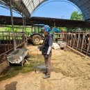 홍성목장 이미지