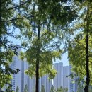 신유메디칼 이미지