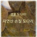 기력충전! 보양식 수산물!(깐멍게,전복,장어,문어,활낙지,반건조오징어) 판매 이미지