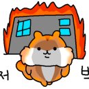 카페드 몽돌 이미지