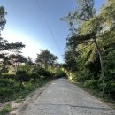 수연 약수터 이미지