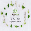 농업회사법인(주)강림오가닉 네이버블로그