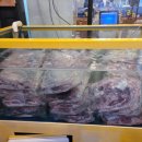 돈토랑흑돼지 이미지