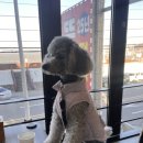 뚝방해물칼국수 이미지