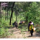 삽시도둘레길 이미지