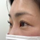 스케치온유 | 화명동속눈썹펌 스케치온유 맞춤 속눈썹펌