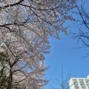 국민체육센터 더힘찬체육관 | 서울 사람이 부천국민체육센터 수영장 일일 자유수영 다녀온 후기