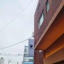 돼장님전포