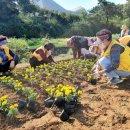 내가면-2 이미지