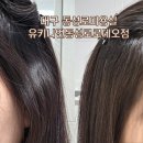 영세계미용실 | 대구 동성로미용실 추천 유키니언 동성로로데오점 매직 후기