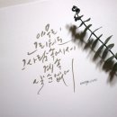 붓펜 캘리그라피 4주 입문과정