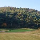 파인필드골프연습장 이미지