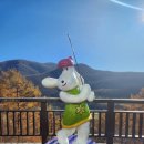 정선골프연습장 | 정선 하이원리조트 가성비 숙소 하이원팰리스 호텔 골프 스키 트래킹 추천