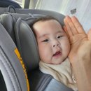 세종청사 10동 | 아이사랑 어린이집 대기신청, 순위 순번 확인 (25년생 0세반)