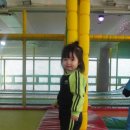 점폴린파크 Daum카페