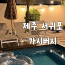 가시버시 | 제주 서귀포시 제주 남쪽 숙소 대형 자쿠지 있는 제주 감성 숙소 가시버시 내돈내산 2박 3일 숙박후기