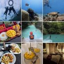 주식회사 제이짐 지점 | [내돈내산 / 솔직후기] 필리핀 세부 5박 6일 자유여행...캐녀닝 / 제이파크 / 아쿠스 아일랜드 바...