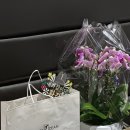 럭셔리7080라이브 이미지