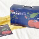 타트체리 우울증완화에도 좋은 타트체리인가바