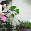 그린파크 이미지