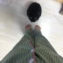 디자인 씨 | 도씨 DOSSY 잠옷 카카오톡 선물하기 2만원대 가벼운 선물 추천 후기