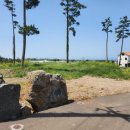 물메초등학교 이미지