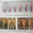 주식회사 한중에스에스 | 한우 출하 2탄 도체중증가에 따른 등지방두께