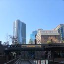 신지디지털 | 구로디지털단지 네일 잘하는 네일끌레아 젤네일 패디큐어 후기