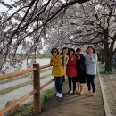 영강체육공원길 이미지