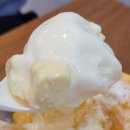 맛있는과일생각 이미지