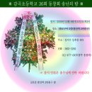 ★감곡 초등학교36회 동창회 2009년 송년의밤 12월 6일(일요일)오후 2시 화로구이(발산역3번출구)에서★ 이미지