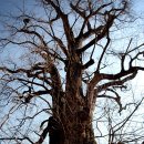 솔지에로펜션 이미지