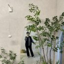 천안동양펫타운 | 3월_만삭일상🤰🏻32w~35w