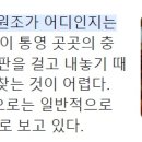 이대충무할매김밥 이미지