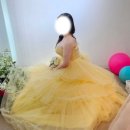 [결혼준비] 빅사이즈 촬영드레스 대여｜유색드레스 피팅 가능한 셀프웨딩홈 후기