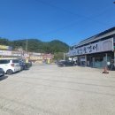 금강올갱이 이미지