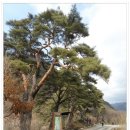 송내지구대 건너편 이미지