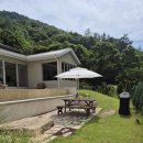 낙원 스테이 이미지