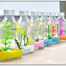 우리가족 천연제품 만들기 | 계룡 출강 가족센터 인기 프로그램 바다디퓨저&amp;바디워시 만들기 (기관출강)